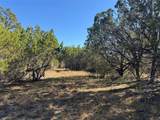 TBD Cr 304 Road - Photo 11