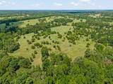 7981 Arrowwood Road - Photo 16