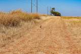 0000 County Road 454 - Photo 8