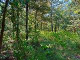 0000 County Road 3641 - Photo 1