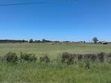 9100 Nix Road - Photo 11