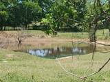 9100 Nix Road - Photo 7