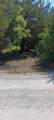 TWB County 3114 Road - Photo 2