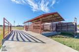 117 Land Grant Lane - Photo 39