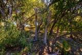 3500 Hog Bend - Photo 10