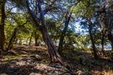 3500 Hog Bend - Photo 11