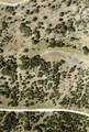 TBD County Road 160 - Photo 21