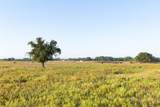 TBD Brushy Road - Photo 21