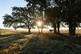 TBD Brushy Road - Photo 1