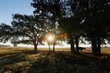 TBD Brushy Road - Photo 14