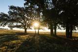 TBD Brushy Road - Photo 15