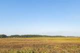 TBD Brushy Road - Photo 17