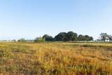 TBD Brushy Road - Photo 18