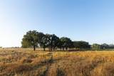 TBD Brushy Road - Photo 19