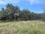 TBD U.S. Hwy 84 W - Photo 13