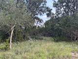 TBD U.S. Hwy 84 W - Photo 14
