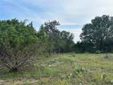 TBD U.S. Hwy 84 W - Photo 16