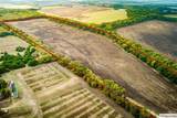 TBD 54.757 AC County Road 4642 - Photo 10