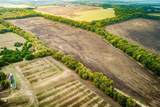 TBD 54.757 AC County Road 4642 - Photo 11