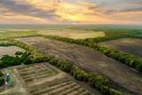 TBD 54.757 AC County Road 4642 - Photo 5