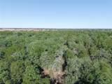 501 County Road 287 - Photo 13
