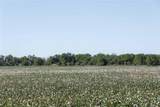 501 County Road 287 - Photo 16