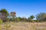 52 Acres Cr-407 Road - Photo 15