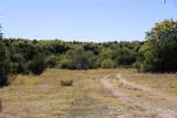 52 Acres Cr-407 Road - Photo 16