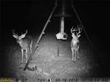 52 Acres Cr-407 Road - Photo 36