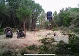 52 Acres Cr-407 Road - Photo 4