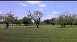 0 Brushy Creek Court - Photo 2
