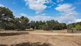 6885 County Road 594 - Photo 13