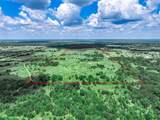 000 Fm 71 Highway - Photo 7