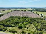 102.5 acres Fm 744 - Photo 7
