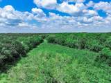 TBD Fm 71 Highway - Photo 15