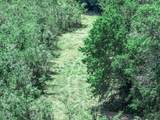 TBD Fm 71 Highway - Photo 22