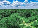 TBD Fm 71 Highway - Photo 24