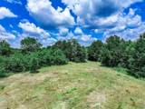 TBD Fm 71 Highway - Photo 29