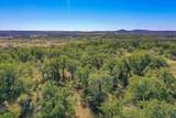 34.38 Acres Lester Road - Photo 6