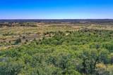 34.38 Acres Lester Road - Photo 9