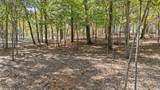 TBD Hickory Trail - Photo 11
