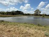 8245 County Road 239 - Photo 13