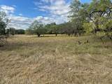 19099 White Bluff Drive - Photo 4