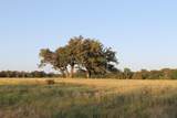 227 Ac Cr 1137 - Photo 16