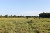 227 Ac Cr 1137 - Photo 19
