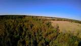 10222 Us Highway 271 - Photo 20