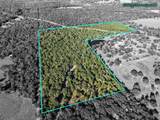 45 Acres County Road 930 - Photo 3