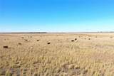 160 acres TBD County Road 428 - Photo 12