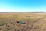 160 acres TBD County Road 428 - Photo 13