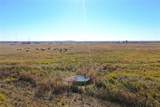 160 acres TBD County Road 428 - Photo 14